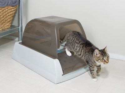 自動猫トイレ スクープフリーウルトラ | レンジャース オンライン